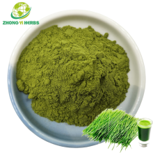 Barley Grass Juice Extract Powder