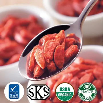 Organic Goji  Berry  Dried  wolfberry