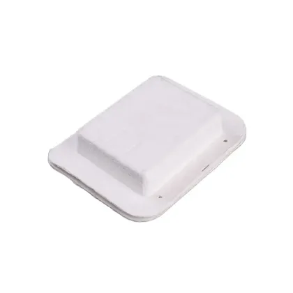 Pulp Molded Bagasse Paper Nuts Kernels Packaging Box