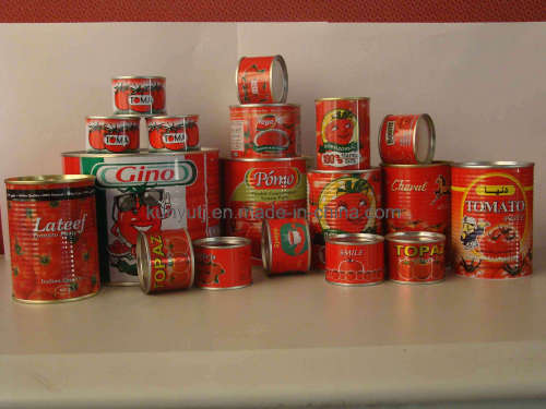 Tomato Paste in Tin with High Quality