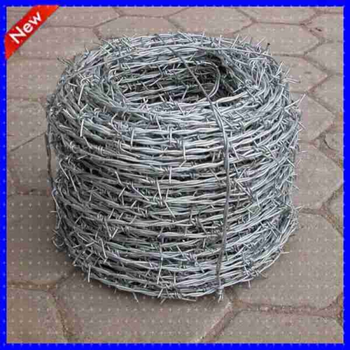 Barbed Wire21