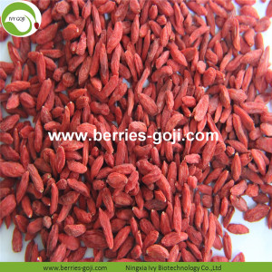 Fábrica de fontes de frutas Melhor qualidade 2KG Goji Berry