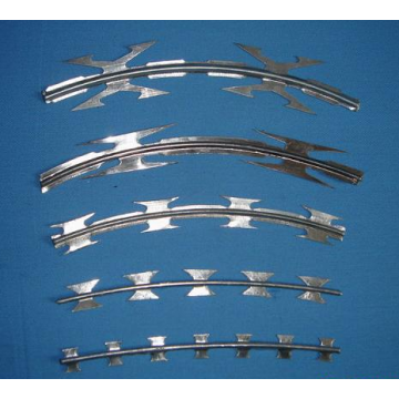 Galvanized Concertina Razor Wire