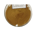 supply Freeze dried Aloe vera extract powder