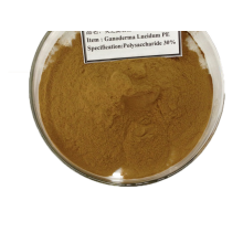 Organic Ganoderma Lucidum Reishi Mushroom Extract