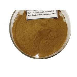 Organic Ganoderma Lucidum Reishi Mushroom Extract