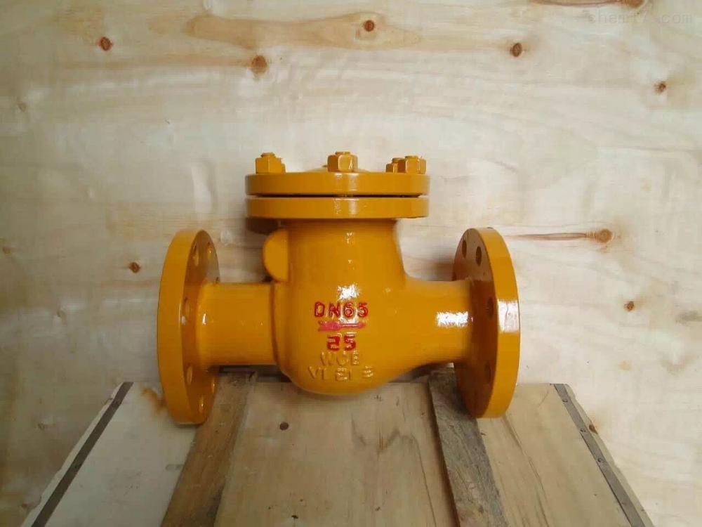 DN25-300 Swing check valve