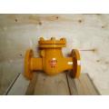 DN25-300 Swing Check Valve