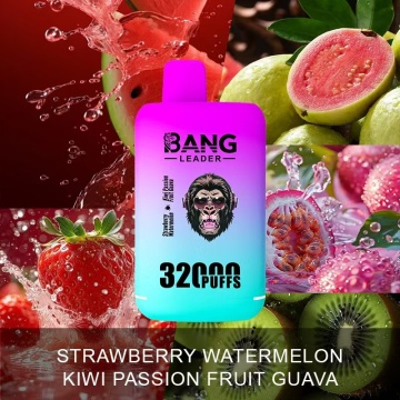 Bang 32K Puffs Vape Double Flavors Wholesale Germany