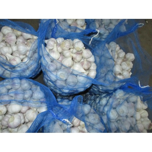 2020 Good Quality Normal White Garlic