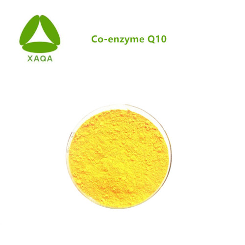 Coenzym Q10 99% reines Co -Enzym Q10 Pulver