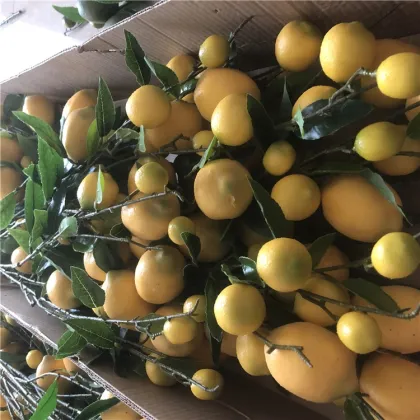 YAYUN J-3285 Hot Selling Artificial Red Berry and Persimmon Branch Decor