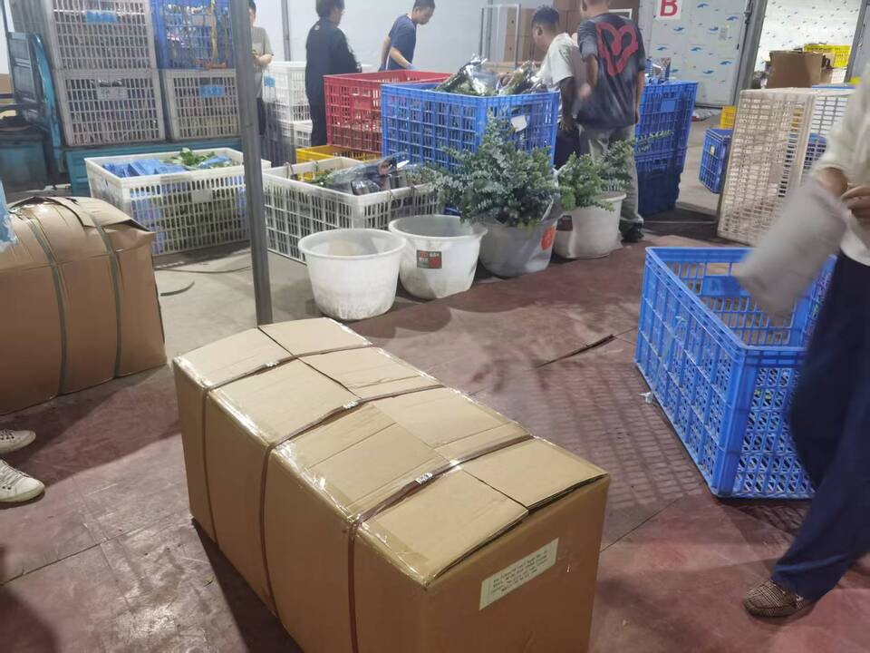 Delivery