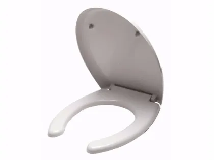 Sanitary Ware Plastic Toilet Seat Cover Mould