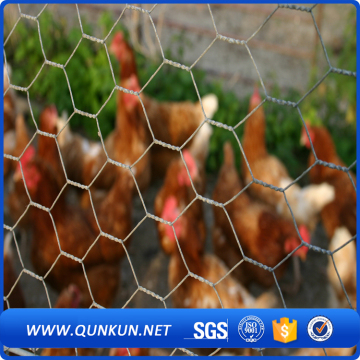 hexagonal wire mesh fence for chicken/malla de alambre hexagonal