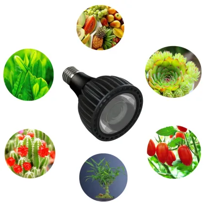 PAR30 LED Bulb 25W - Sylvania LED Flood Lamp E27