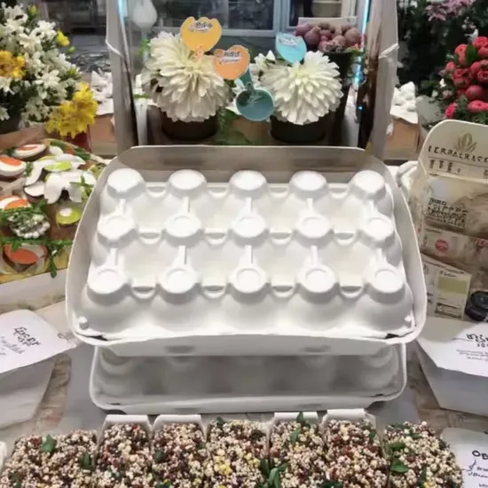 Eco-Friendly Biodegradable Egg Storage Box Carton