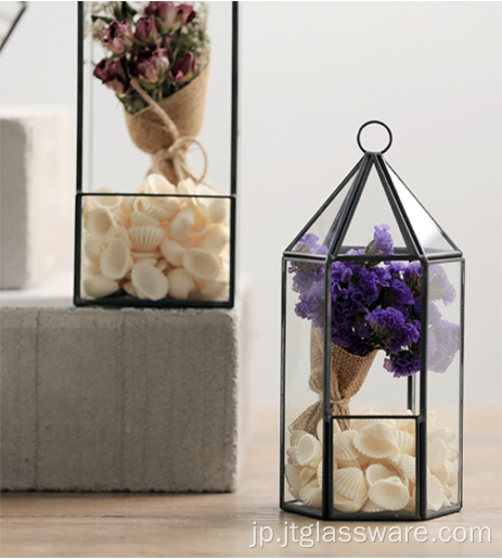 正方形の透明なガラス植物の花瓶の花のテラリウム