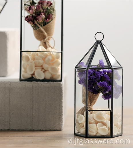 Bình thủy tinh vuông trong suốt Bình hoa Terrarium