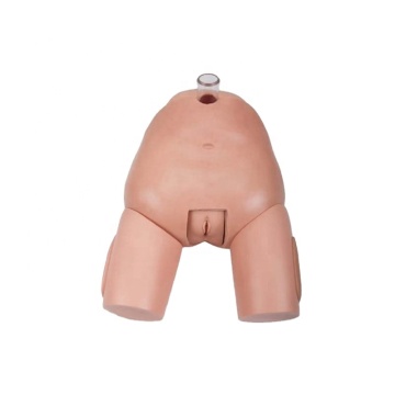 DARHMMY Advanced PVC Female Bladder Puncture Training Model for Medical Training