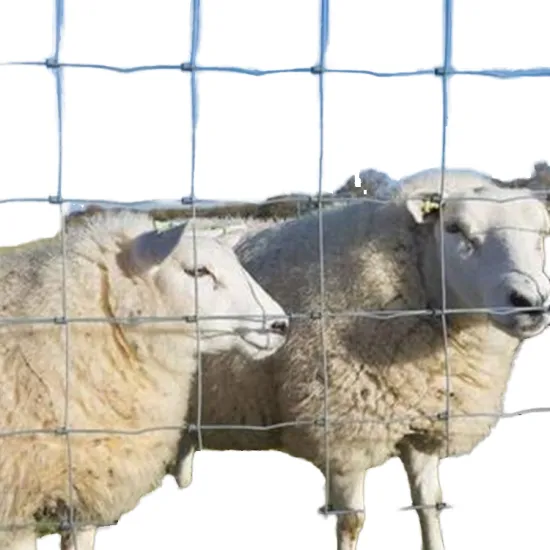 Wholesale Galvanized Goat Fence with Twill Braid Technology - Cheap Farm Fence