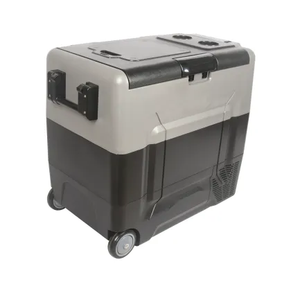 Kitchen DC Organizer: Ice Cream Car Refrigerator - Mini Fridge Solutions