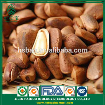 Factory Direct Organic Cracked Open Pine Nuts in Bulk