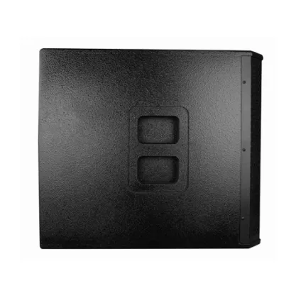 Multifunctional High Power Beautiful Professional Speaker