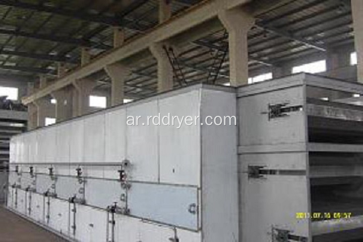 DW Single Belt Dryer-Fruit and Vegetable Dryer