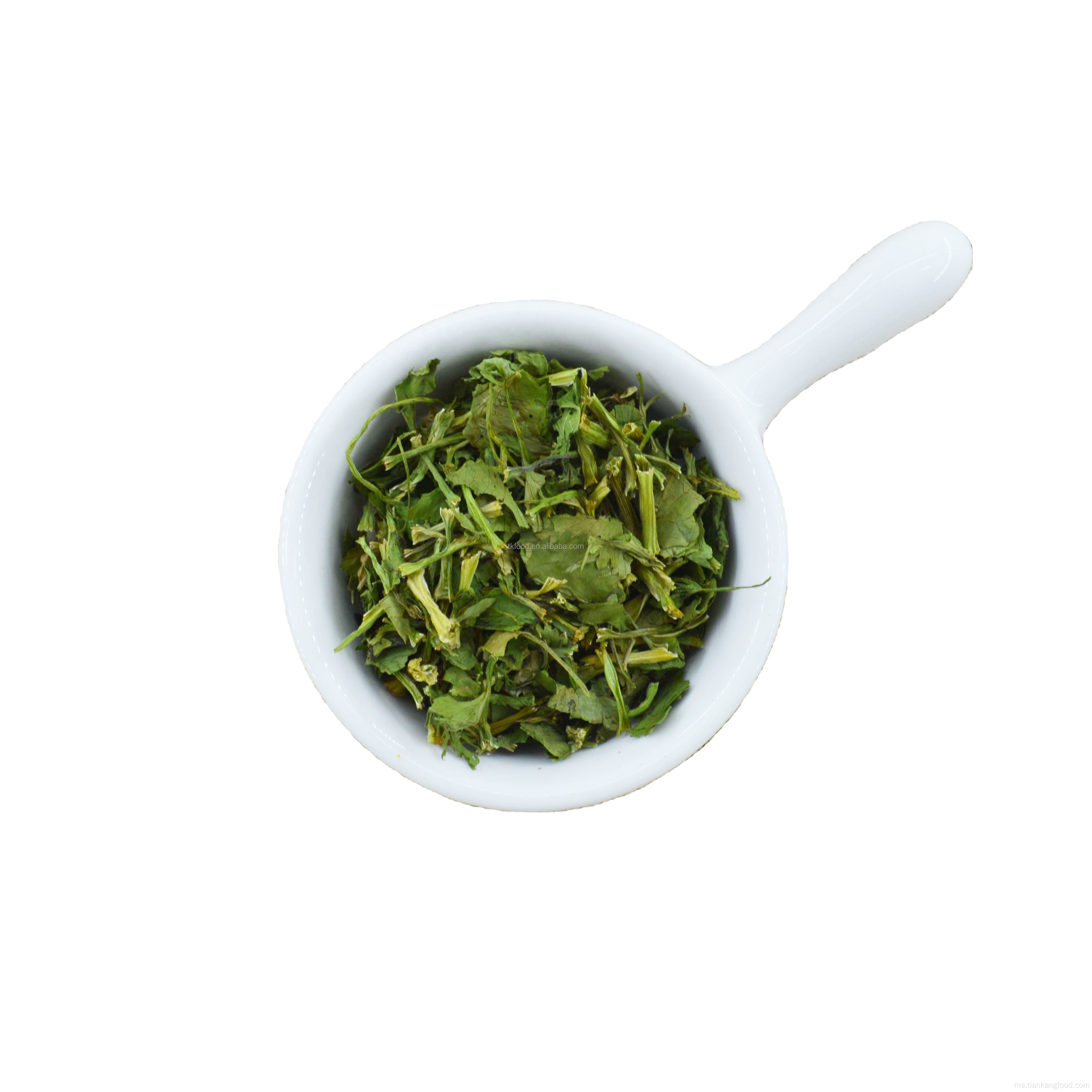 Rempah -rempah sayur -sayuran kering dan batang cilantro premium