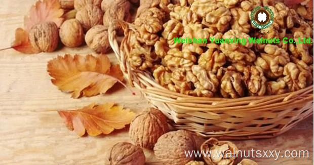 Foods for longevity Chinese Walnut Kernels Light Quarters