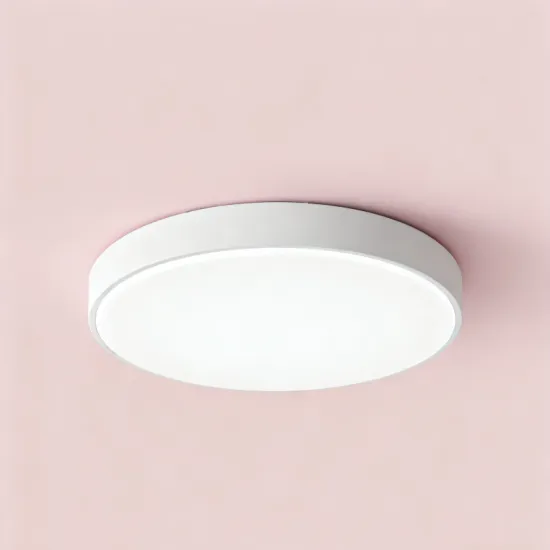 Modern 24W LED Ceiling Light Design