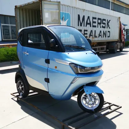 4 Wheels 2 Seats Electric Racing Car for Teenagers