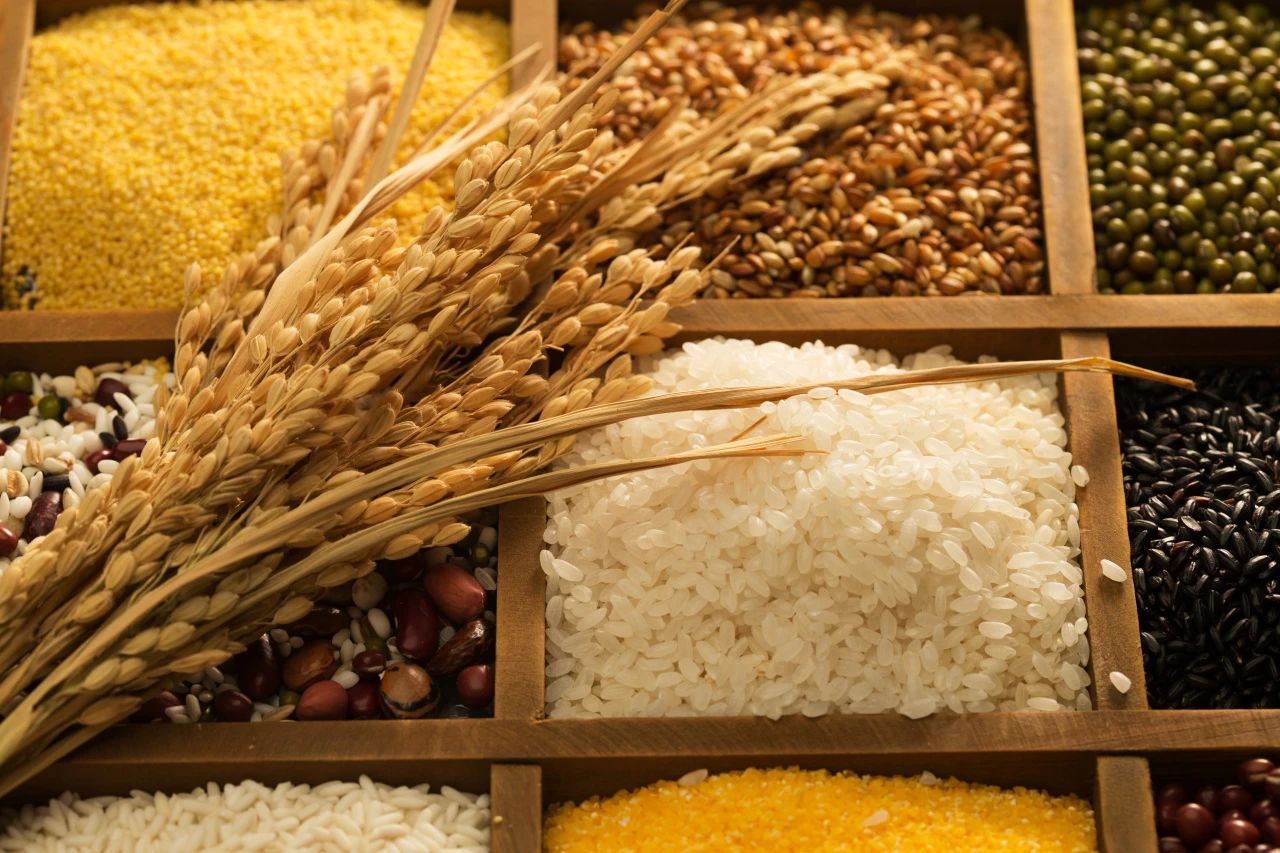 How to supplement the popular intestinal health factor "dietary fiber"