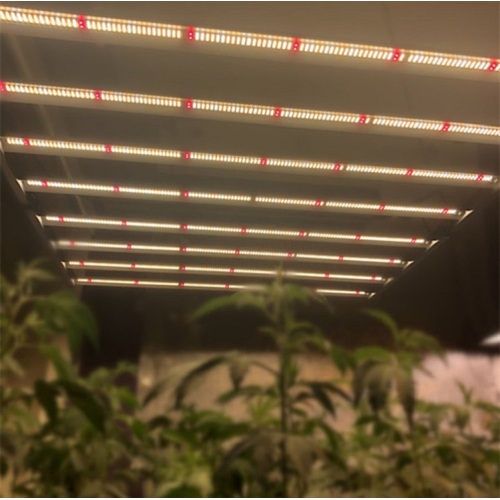 High Efficacy 640w Indoor Led Grow Lights Bar