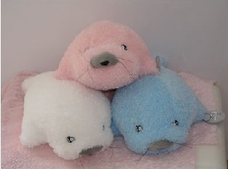 fur seal   SN-029