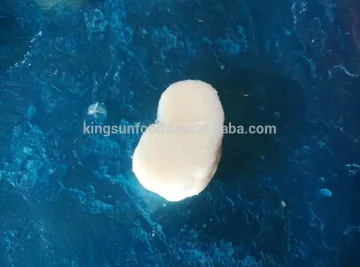 Pen Shell Scallop Meat
