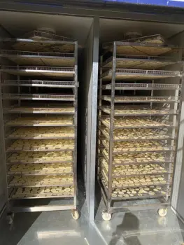 Edible fungus Heat pump air drying