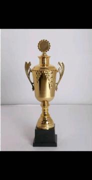 Metal trophy