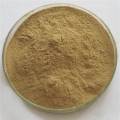 Milk Thistle Extract Silymarin