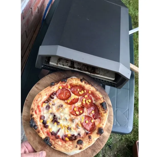 12 inch wood fire and gas pizza oven