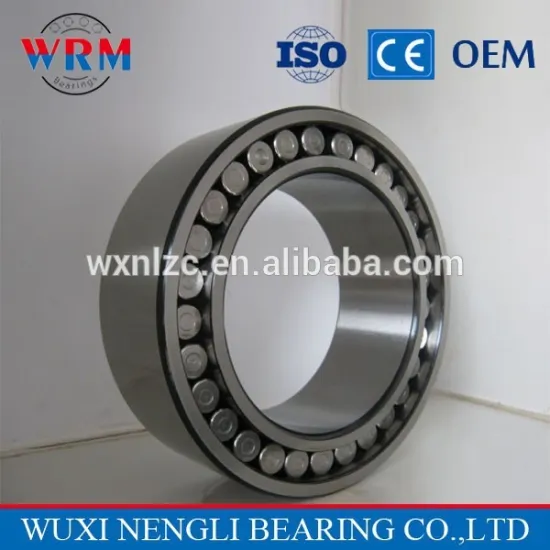 China manufacturer cylindrical roller bearings for armarium
