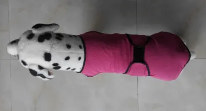 Good pet product from china pet supplies