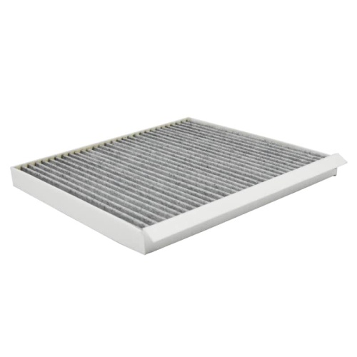 Carbon Cabin Filter for 8119011N01