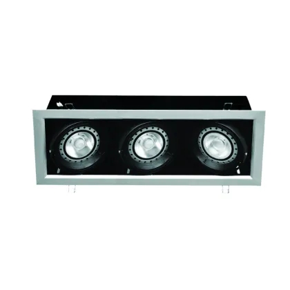 Double head Grill lamps 20W Two head grill lighting