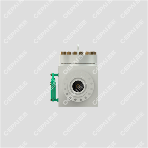 Swing check valve