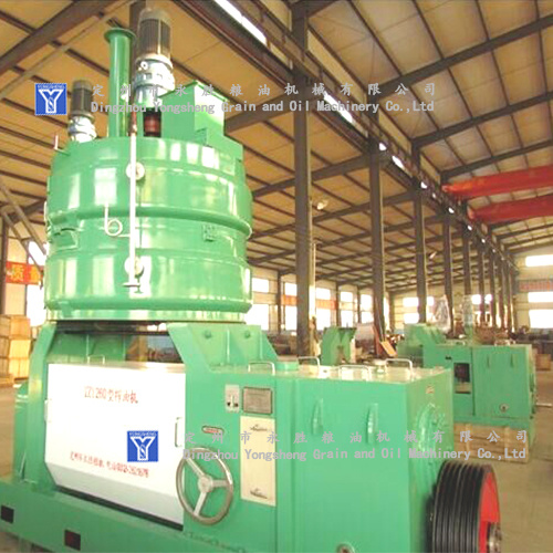 Cold automatic vegetable oil extractor machine