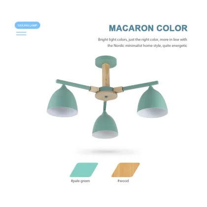 Modern Style Acrylic Iron Ceiling Light - New Arrival Creative Design Brand