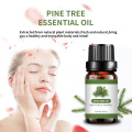 Pure Pine Tree Essential Oil