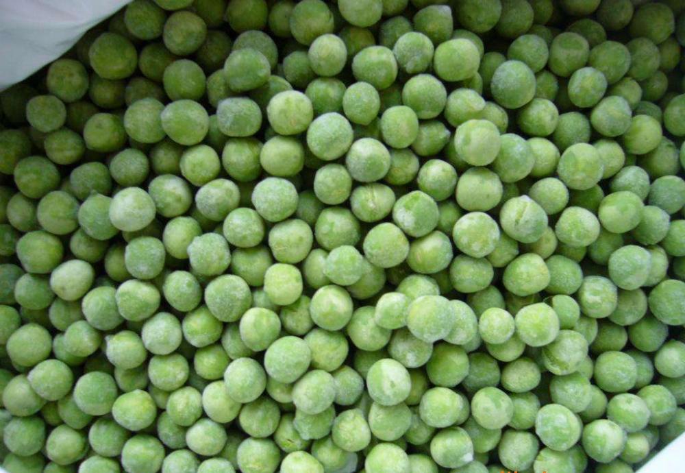 Iqf Soybean1